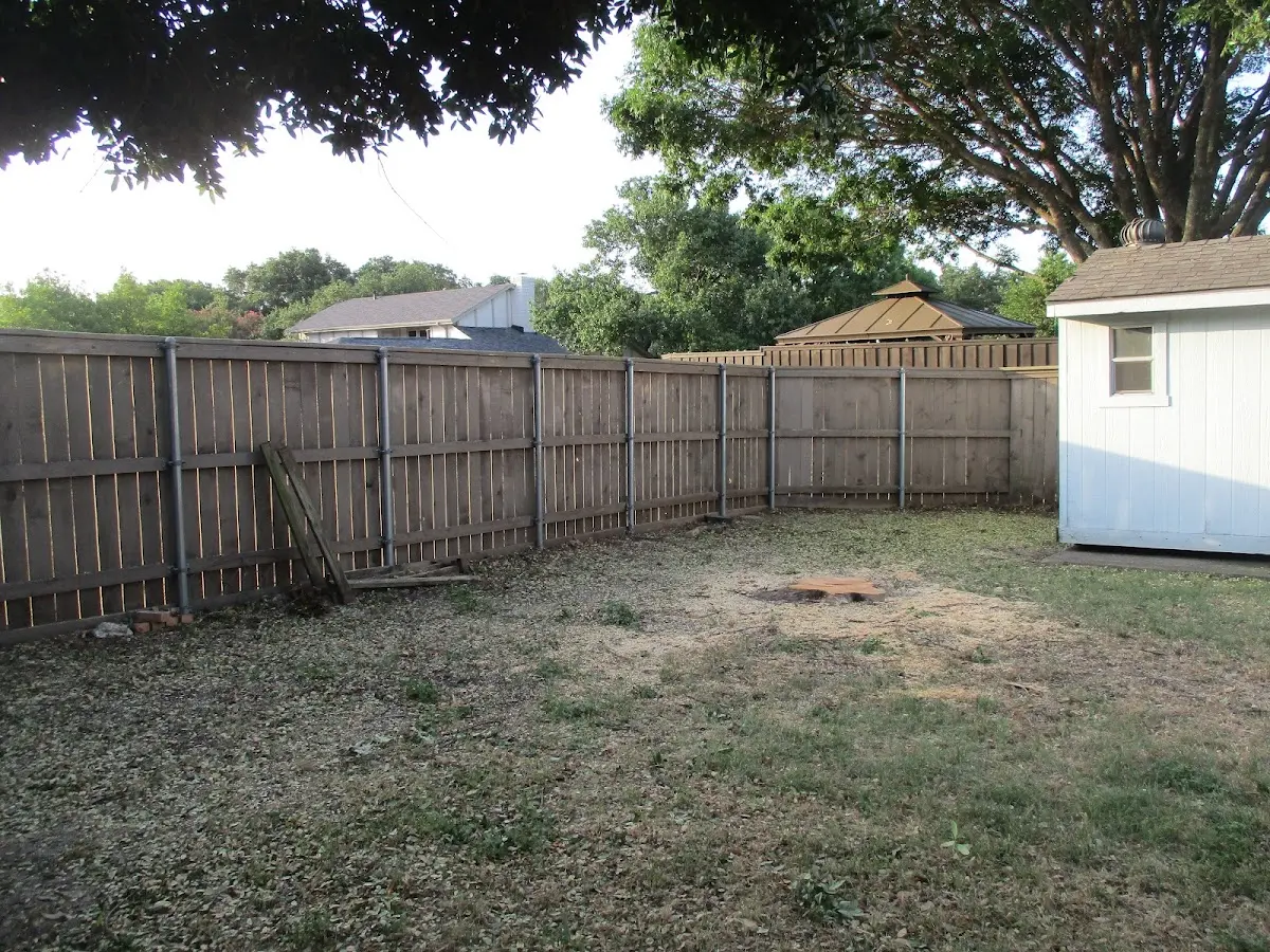 Cleared yard after professional tree removal in Maryville