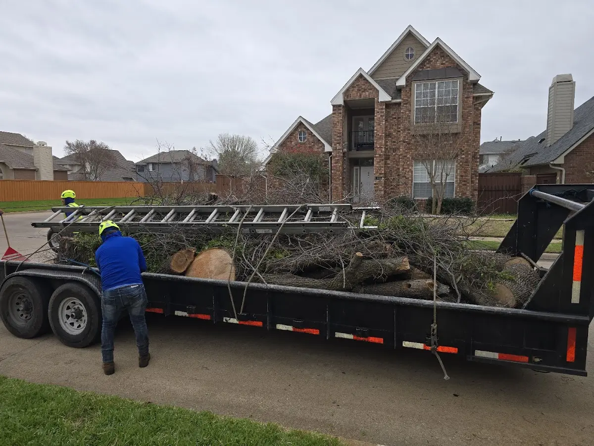 Expert Crown Reduction with proper safety equipment in Maryville